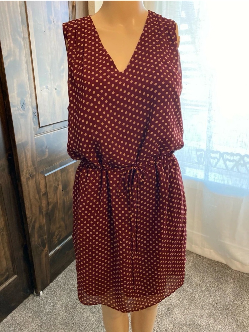 Elorie Sleeveless Polka Dot V-Neck Dress in Maroon Size Small